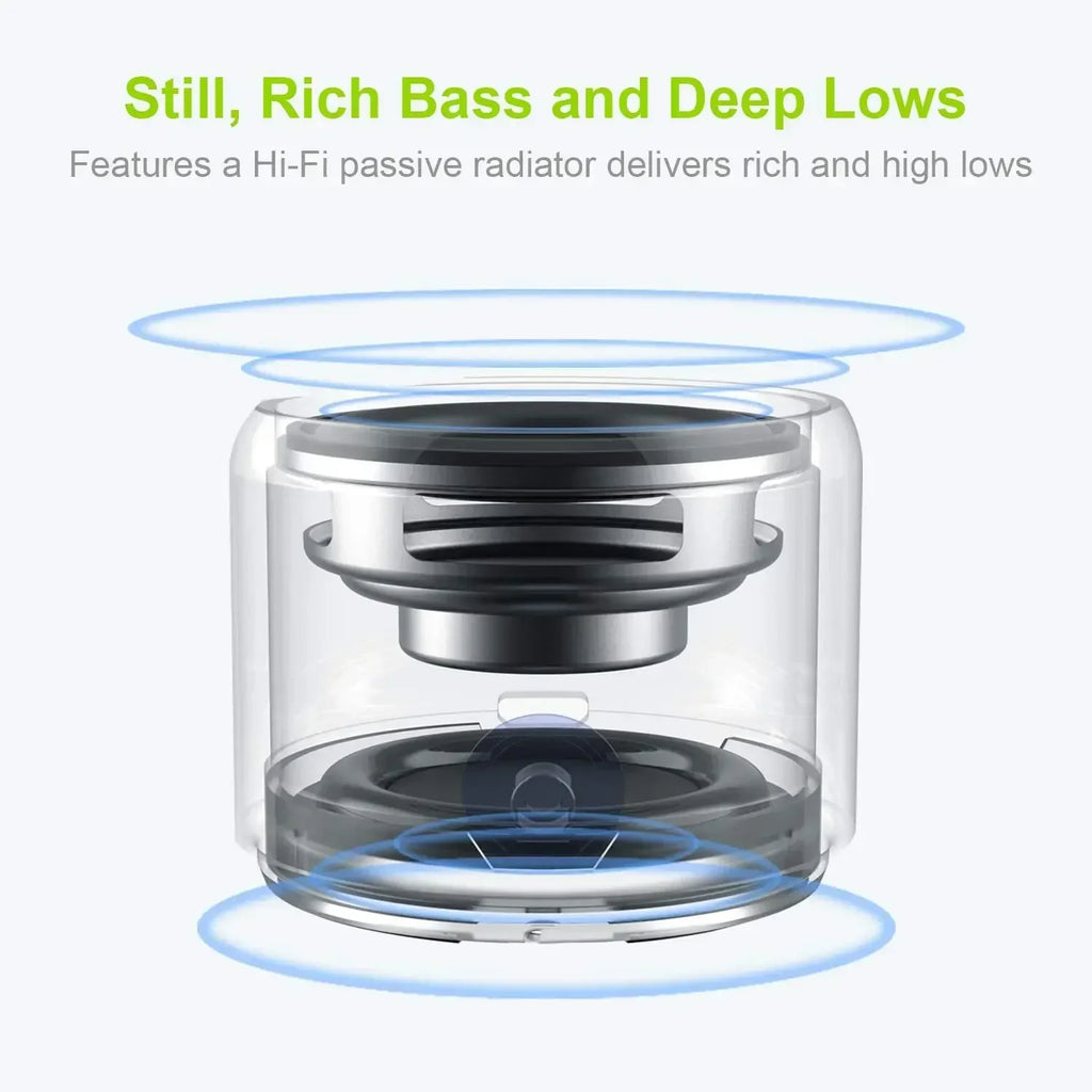 Mini Speaker with Custom Bass Radiator Silver